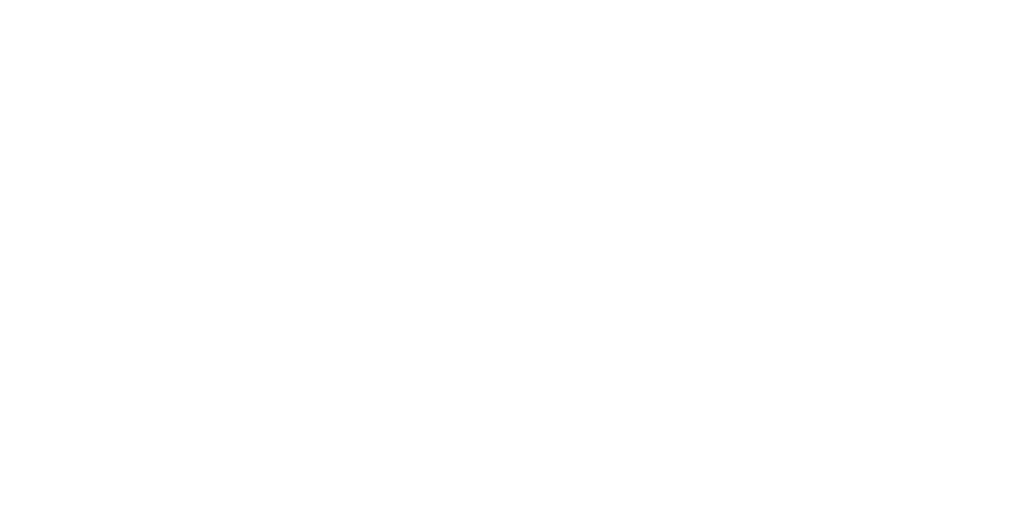 Flesh and Blood TCG